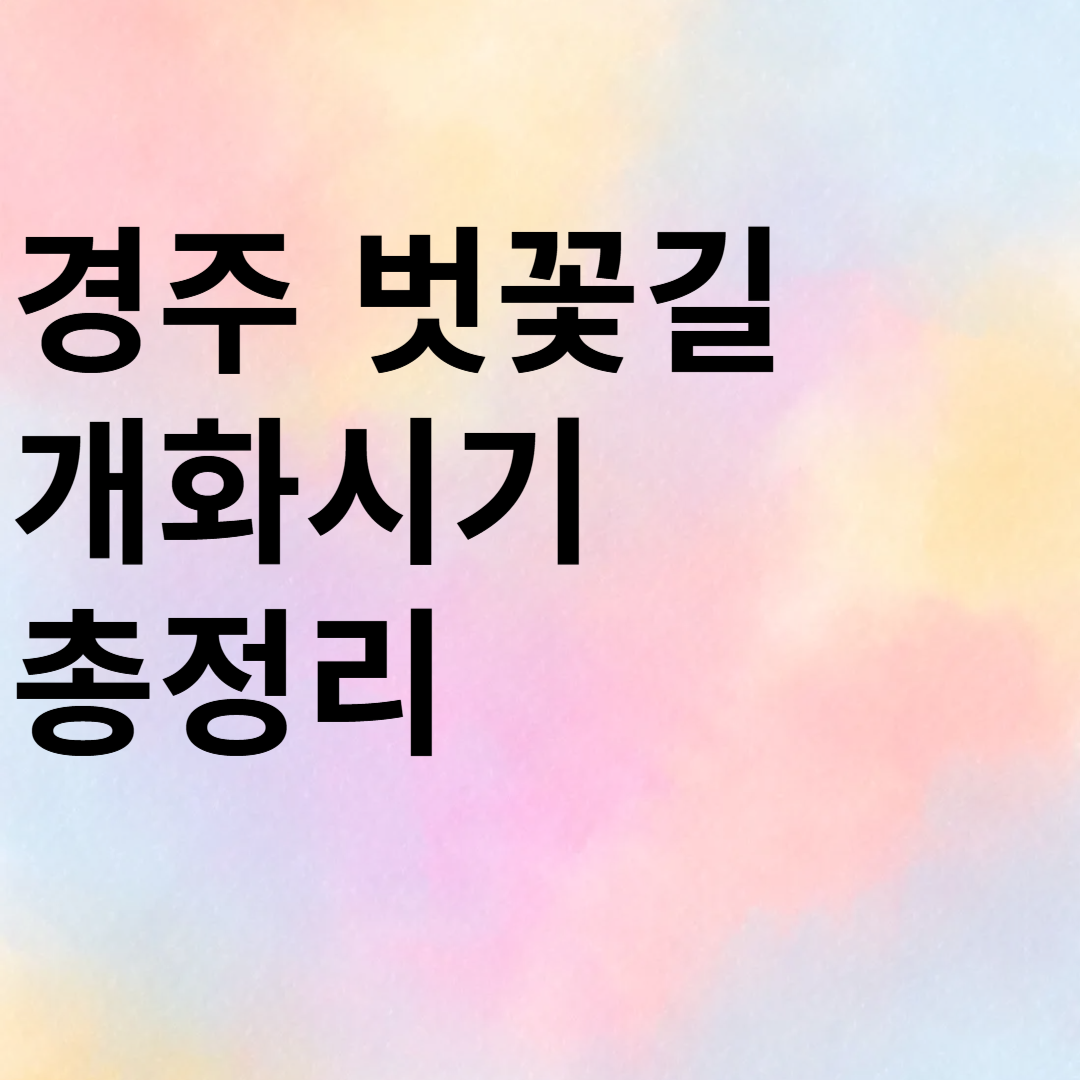 경주 벚꽃길 개화 시기 총정리