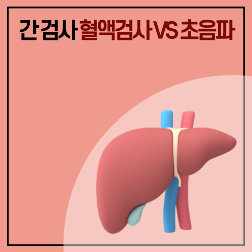 간기능 검사 종류