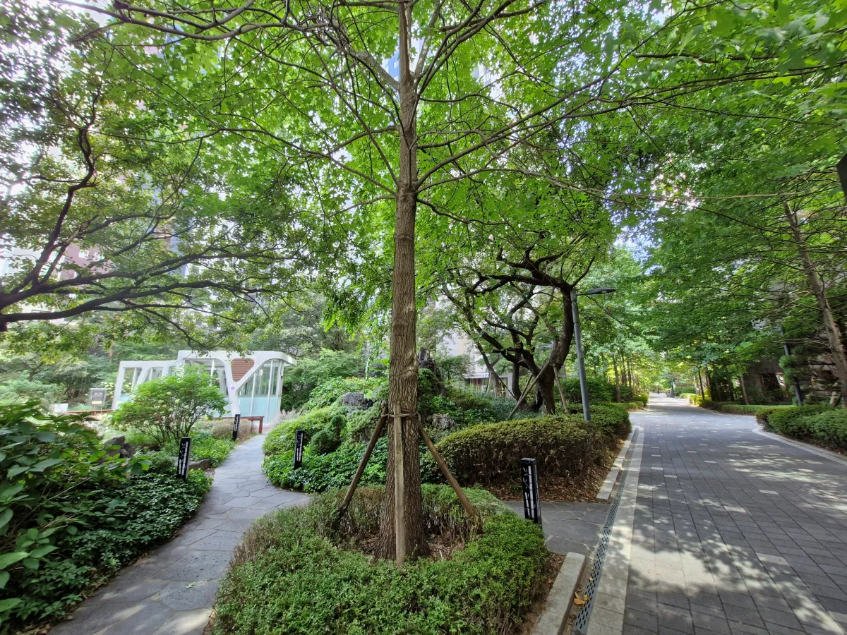 DMC-파크뷰자이-아파트-내부-단지-내-조경-나무와-폭포로-꾸며져-있다