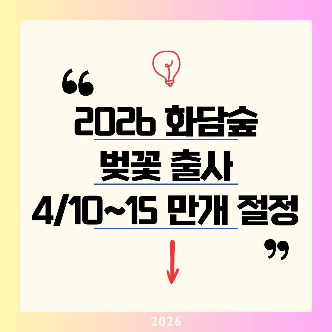 화담숲 벚꽃 만개 4월 10~15일 절정! 2026 화담숲 모노레일 구간 예매 &amp; 화담채 예약 필수 팁