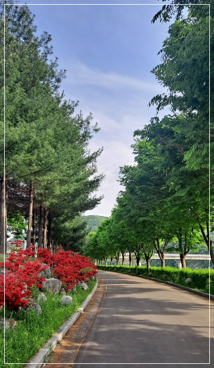 산책로