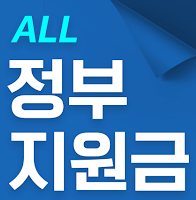 2024-정부지원금