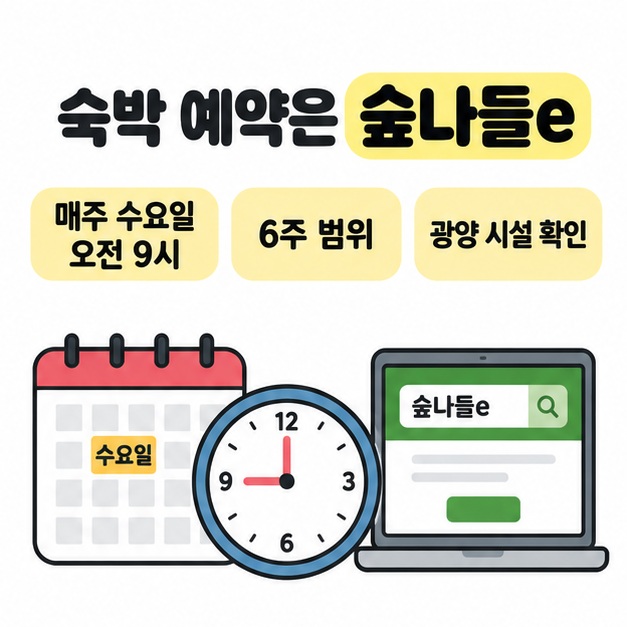 수요일 달력과 9시를 가리키는 시계 및 예약 화면 삽화로 매주 수요일 오전 9시 숲나들e 숙박 예약과 6주 범위 및 광양 시설 확인을 안내하는 이미지