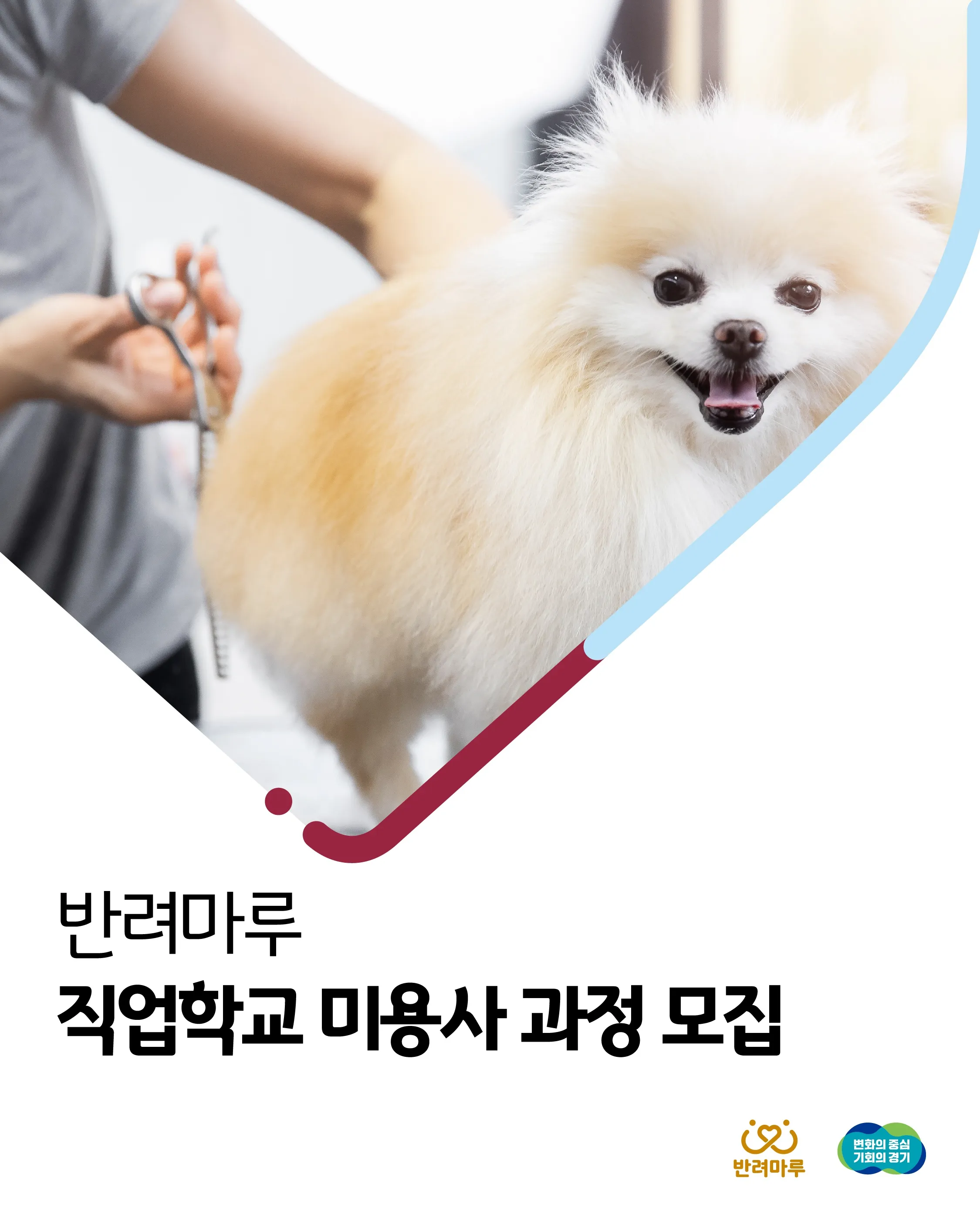 반려견 미용사