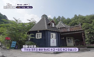 다견 가정이 사는 울창한 나무에 둘러 쌓인 아담한 목조주택