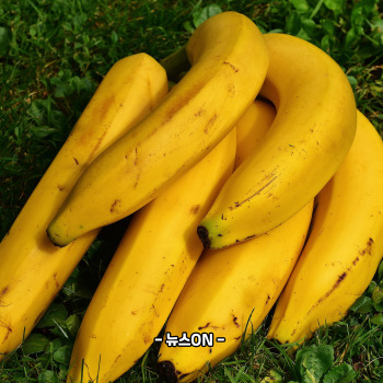 마그네슘이 풍부한 음식