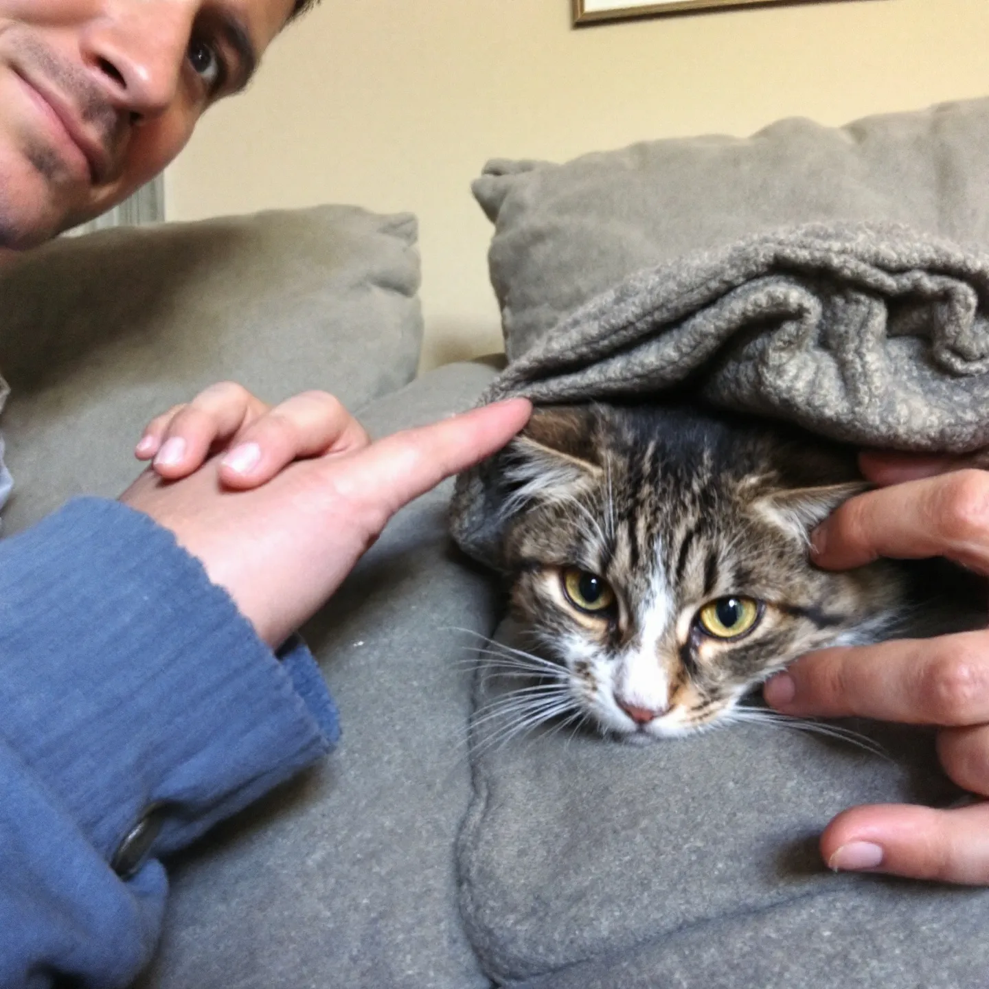 손님과 고양이의 올바른 소개