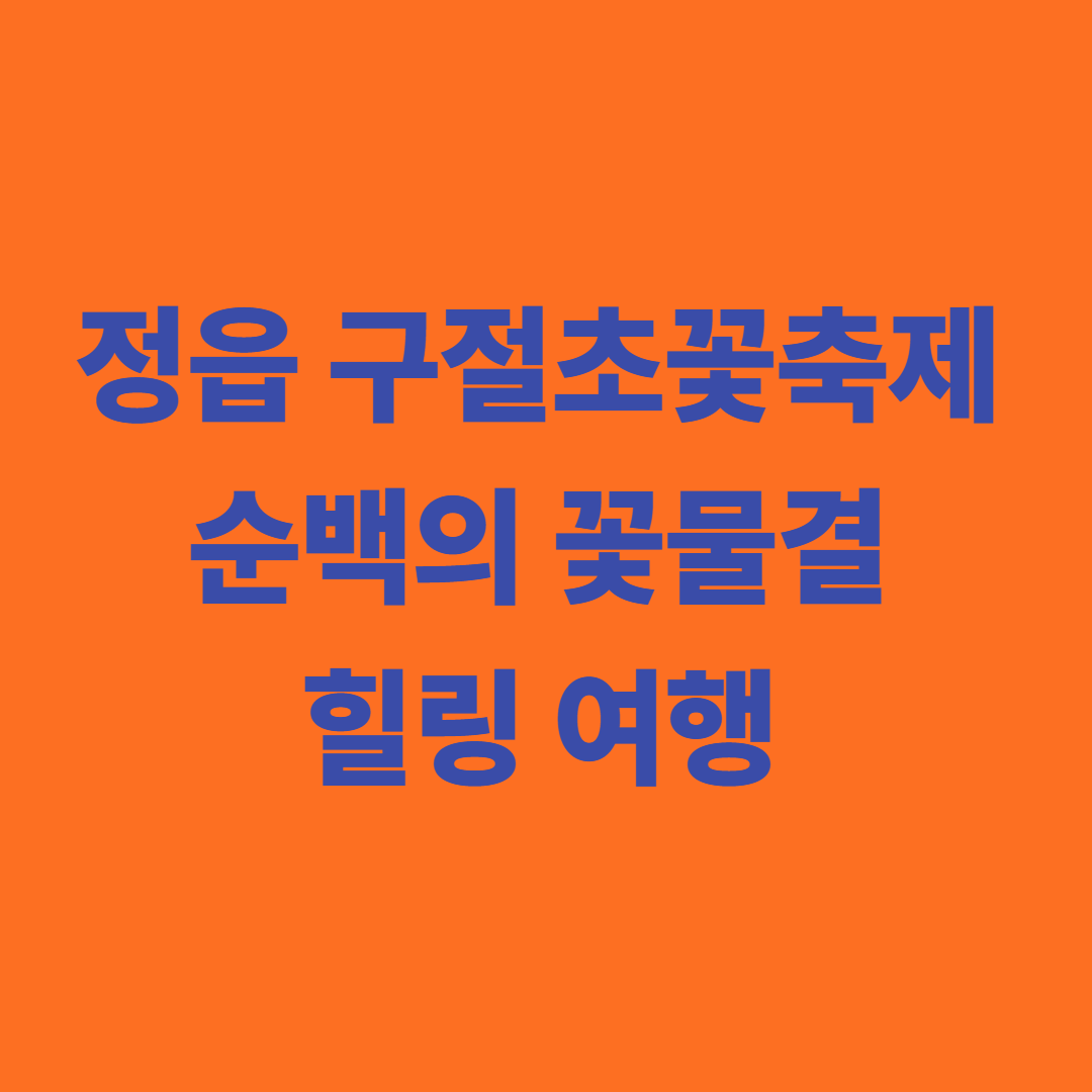 제18회 정읍 구절초꽃축제