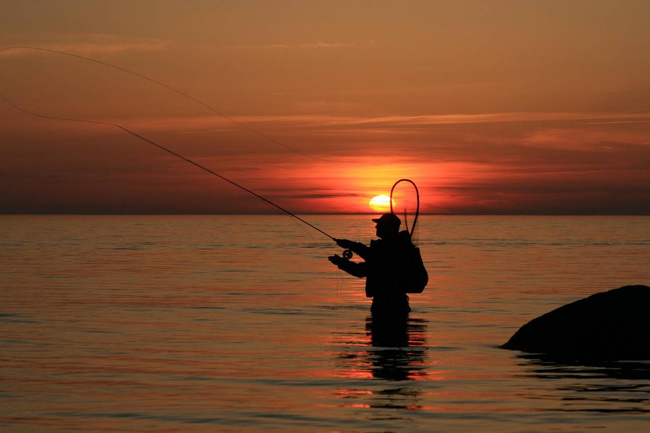 낚시 관련 이미지들