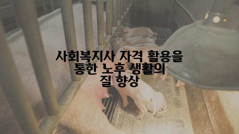 사회복지사 자격 활용을 통한 노후 생활의 질 향상
