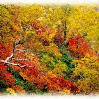 가을 단풍여행 베스트 명소 시니어 추천 코스 완벽 가이드_15