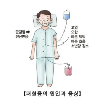 패혈증이란 무엇인지 원인 증상 치료 예방법_4