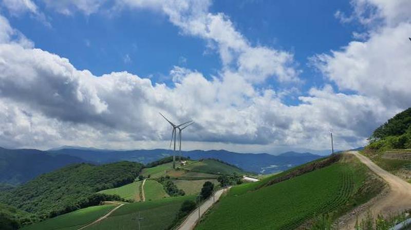 강릉 안반데기 마을, 구름 위의 풍경을 걷다 – 여름에도 시원한 힐링 여행지