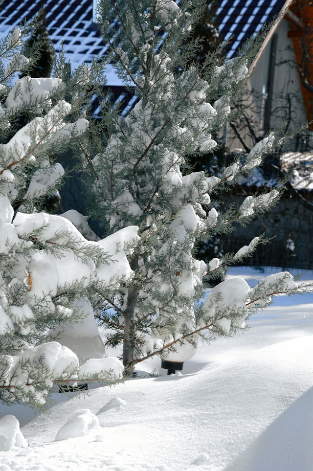대설주의보 대설경보 차이 기준과 필수 대처법