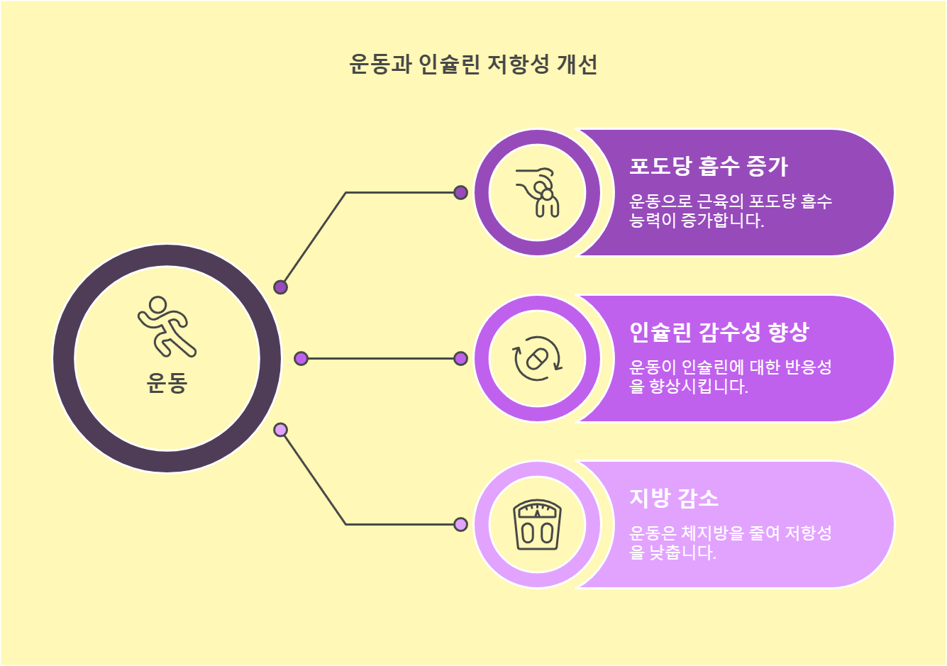 운동이 인슐린 저항성에 미치는 영향 이미지