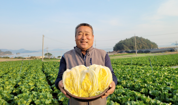 아르뫼 배추 사장님