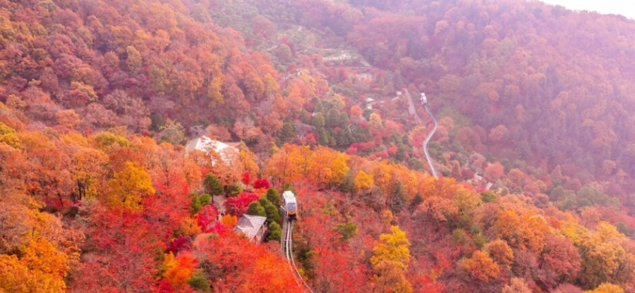 화담숲 단풍 모노레일 예약 주차 꿀팁