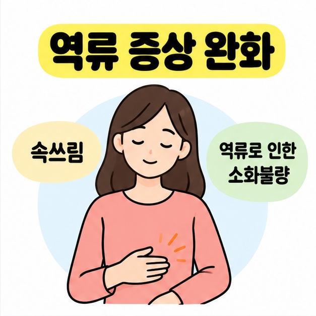 속쓰림과 역류로 인한 소화불량 문구 옆에 윗배에 손을 가볍게 댄 사람이 있는 역류 증상 완화 안내 그림