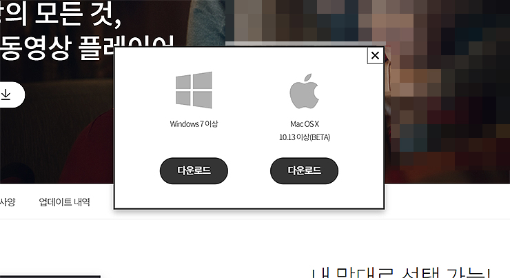 곰플레이어-설치-운영체제-선택-창