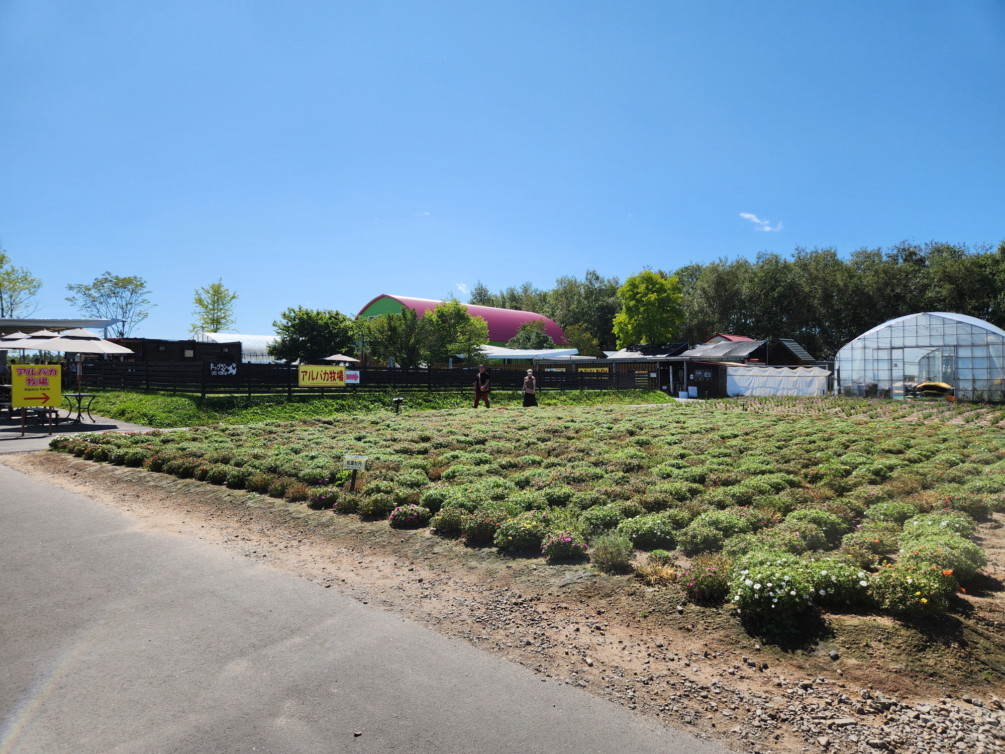 사계체 언덕 - 9
