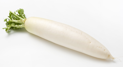 무의 영양