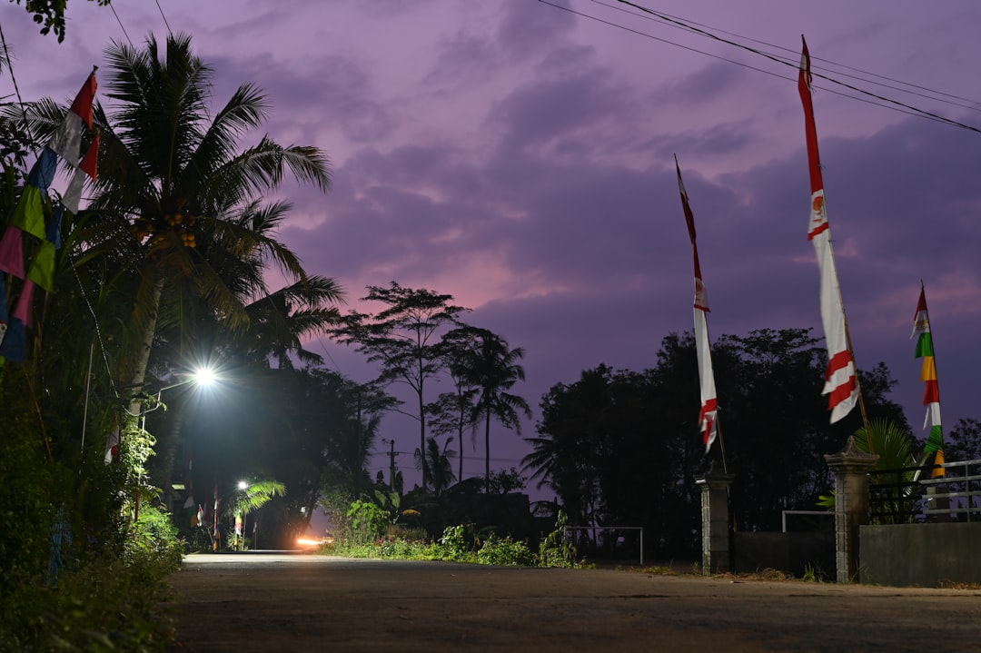 Local government