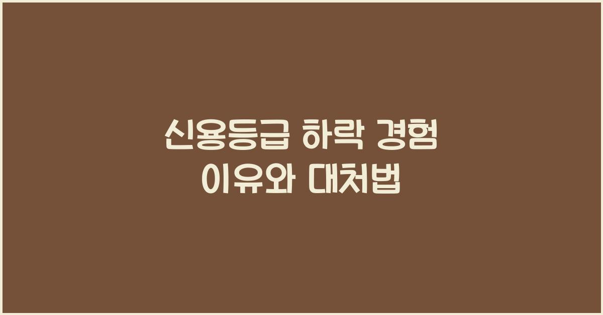 신용등급 하락 경험