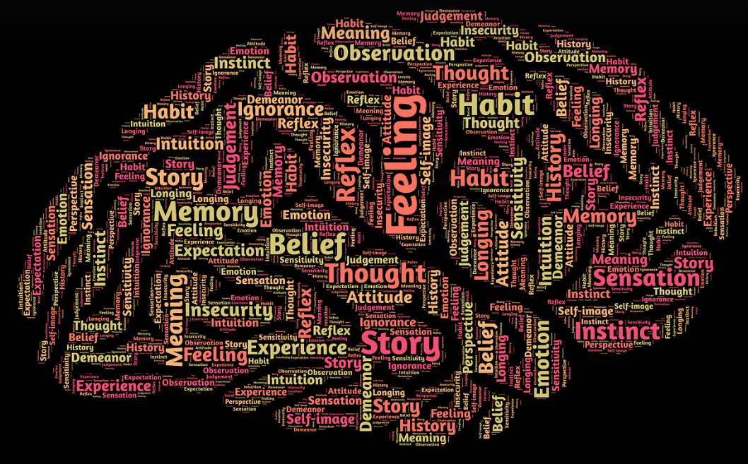 뉴질랜드 심리학과에서 배우는 과목 사진