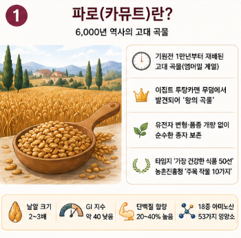골드카뮤트효소-가루-분말-효과-후기-부작용
