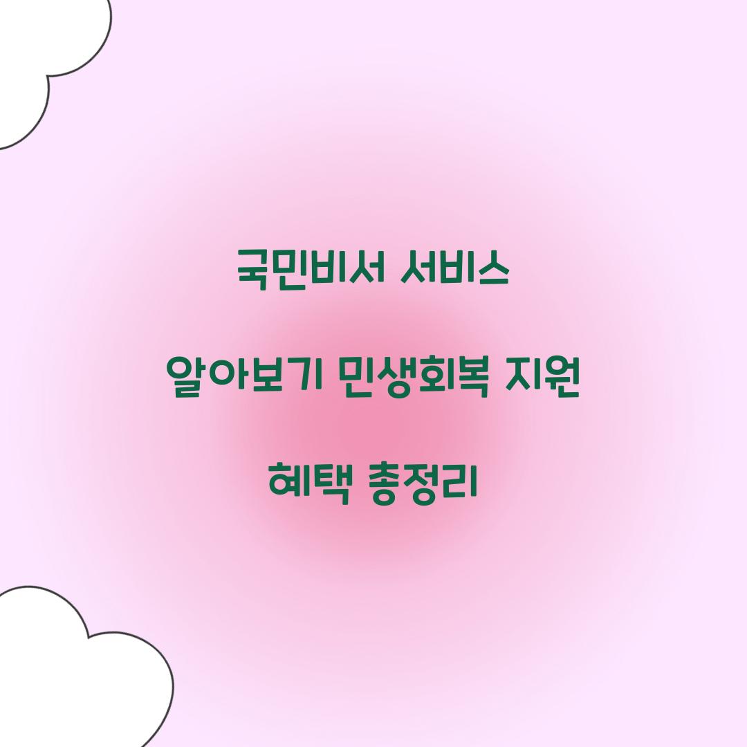 국민비서 서비스