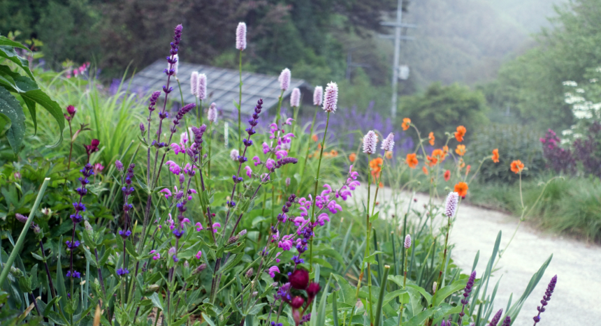 특색있고 아름다운 민간 정원 30선 추천 여행 - 12. 인제 찍박골 정원