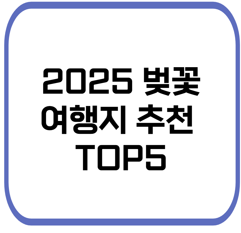 벚꽃 명소 TOP5 관련 사진