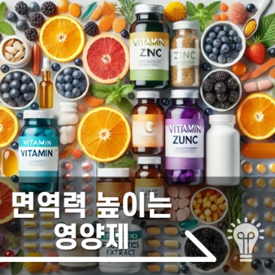 면역력 높이는 영양제