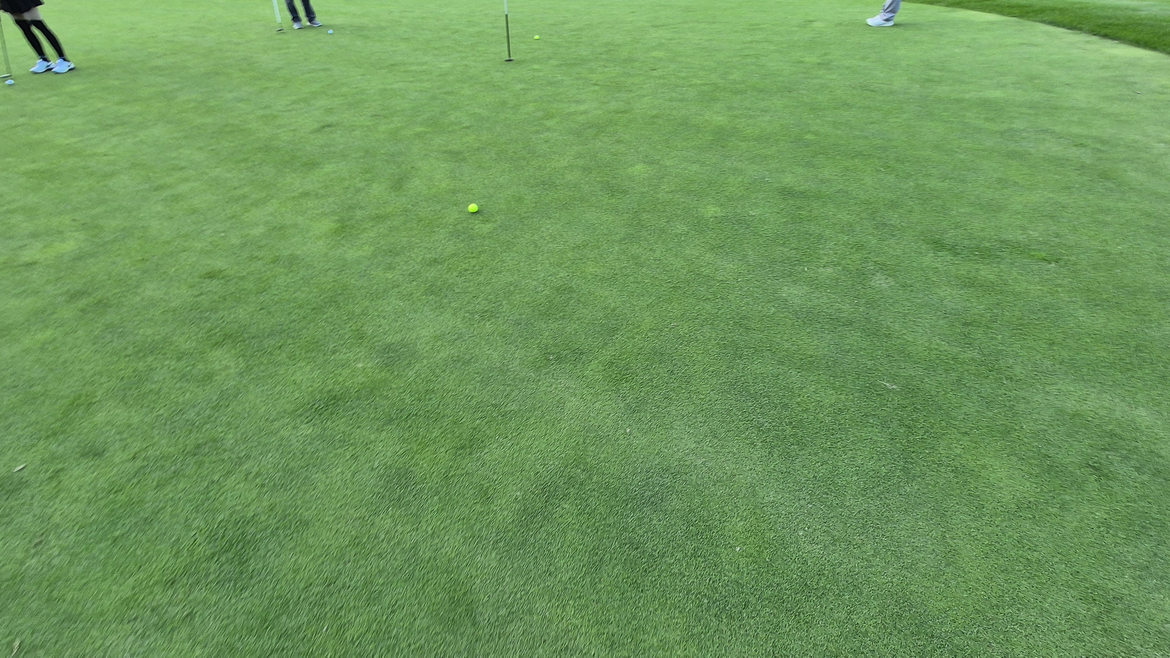 블랙스톤 벨포레cc 그린 관리 상태