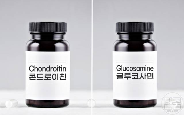 관절영양제 콘드로이친 효능 부작용 권장량 글루코사민 차이