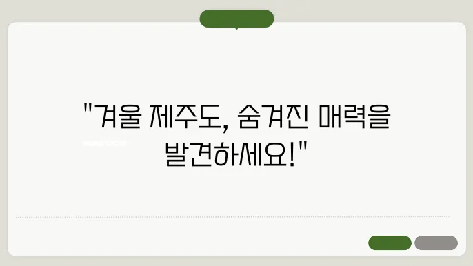겨울 우도의 매력