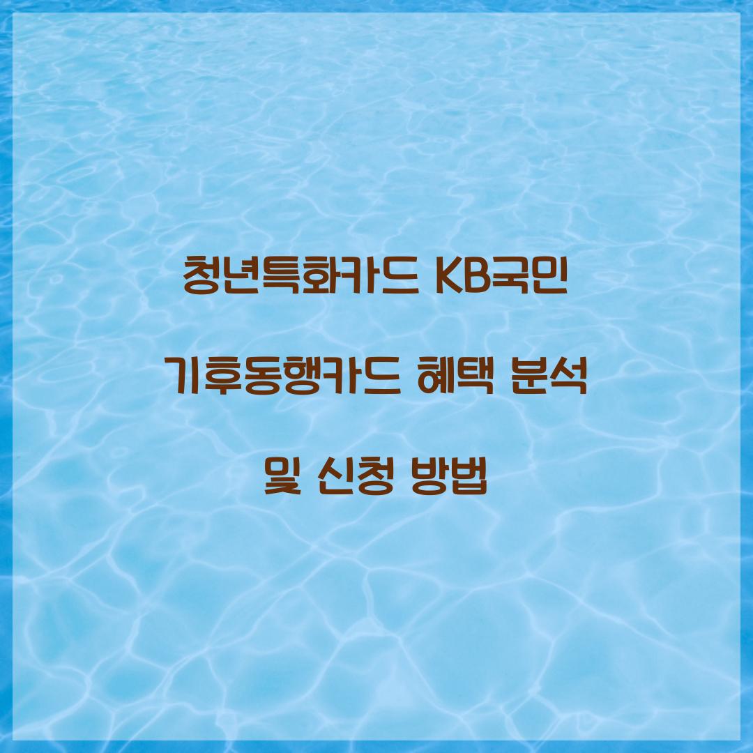청년특화카드 KB국민 기후동행카드