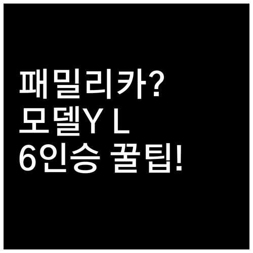 패밀리카 테슬라 모델Y L 6인승 총..