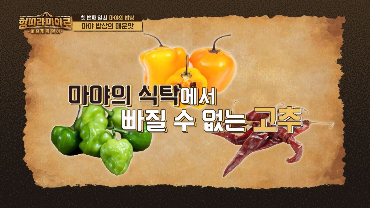 형따라 마야로