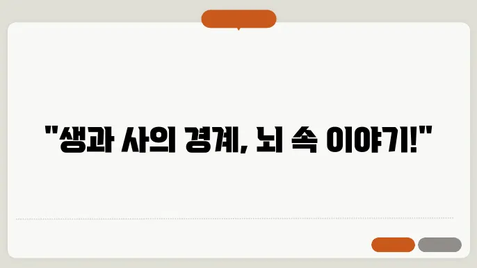 뇌졸중 뇌출혈 뇌경색 차이점