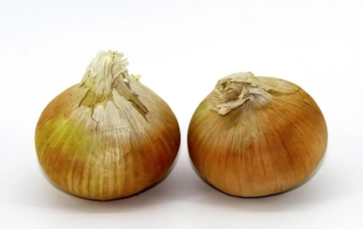 양파즙 효능 항염