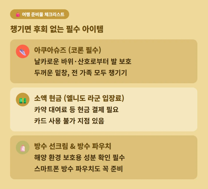 팔라완 여행 시 필수 준비물인 아쿠아슈즈, 현금, 방수 선크림 안내