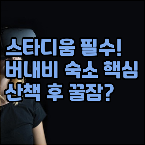스완가드 스타디움 클린 워크 존 산책..