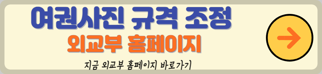 여권사진 규정, 사진 크기부터 얼굴 표정까지 확실한 정보(feat.외교부)