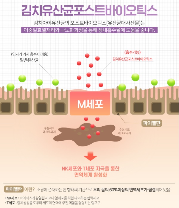 포스트바이오틱스-설명하는-사진