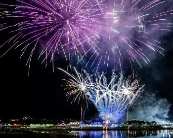 장성 황룡강 가을꽃축제_22