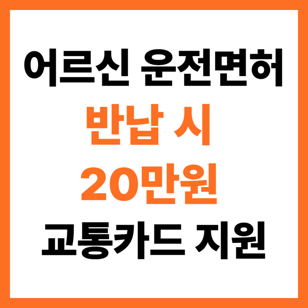 2025년 서울시, 어르신 운전면허 반납 시 20만원 교통카드 지원