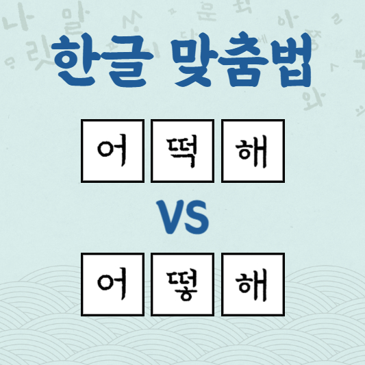 어떡해 어떻해