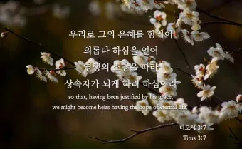 디도서 3장 성경말씀 모음 해석_23