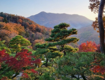 2024화담숲 가을단풍축제